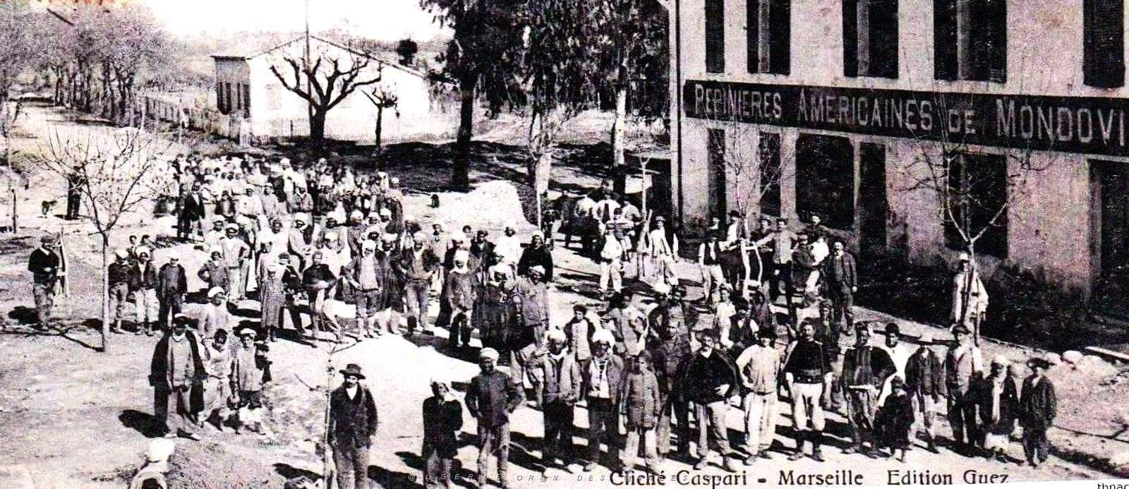 1196- Mondovi - Les Pepinieres americaines2.jpg